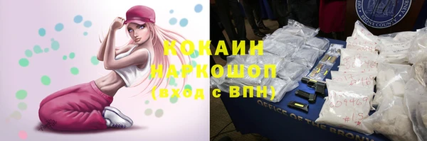 винт Алзамай