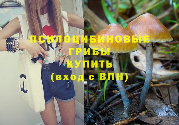 винт Алзамай