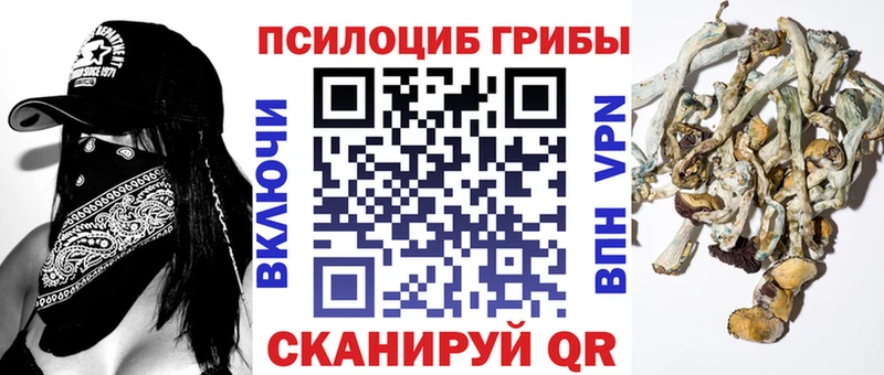ссылка на мегу ССЫЛКА  Бобров  Галлюциногенные грибы Magic Shrooms 